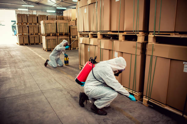 Best Pest Inspection Near Me  in Selmont West Selmont, AL