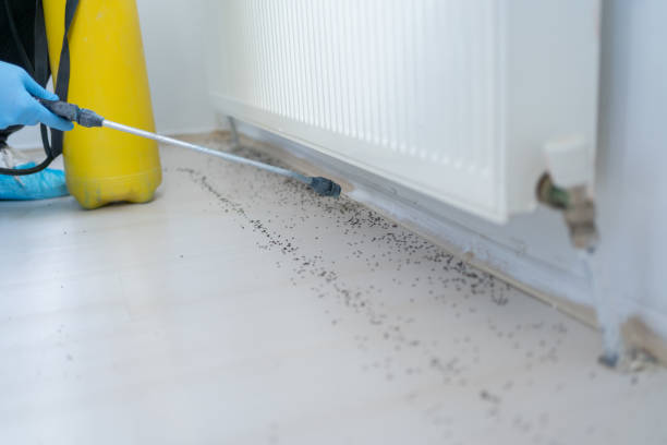 Best Commercial Pest Control Services  in Selmont West Selmont, AL