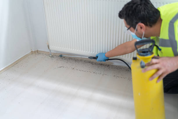 Wasp Removal Services in Selmont West Selmont, AL