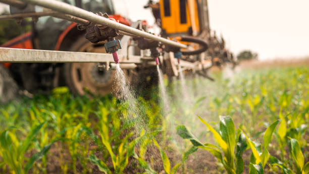 Best Insect Control  in Selmont West Selmont, AL